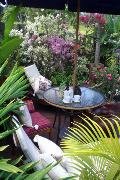 Adult Vacations in private luxury Bali villa with companion just $200.00